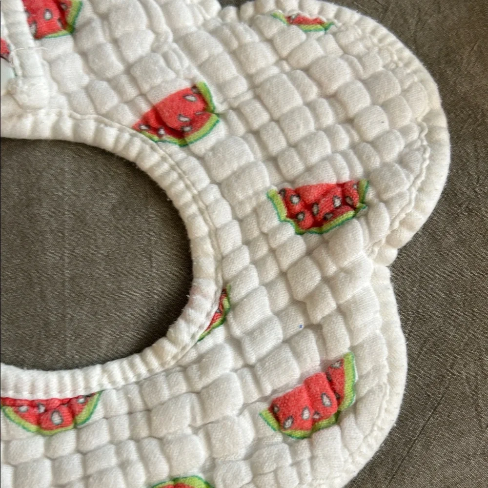 BIBS